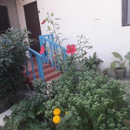 Guesthouse Zeinabi Tbilisi Eksteriør bilde